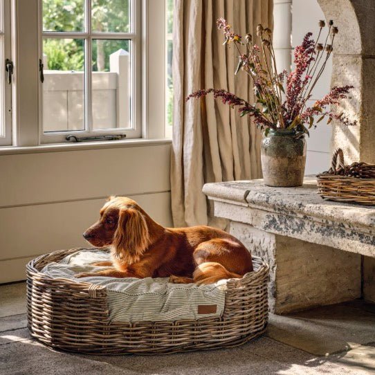Bembridge Rattan Pet Beds - Two Sizes - Image 4