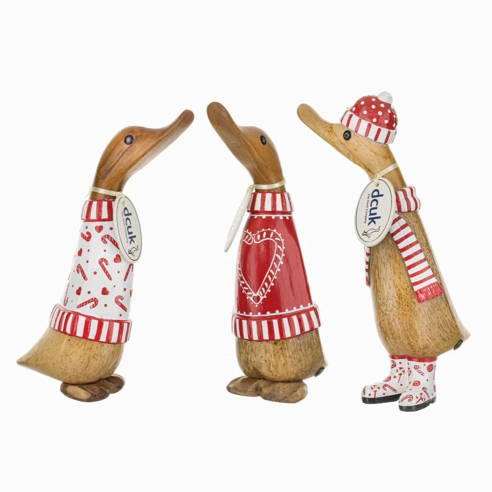 Candy Cane Duckling in Red Jumper - Image 6