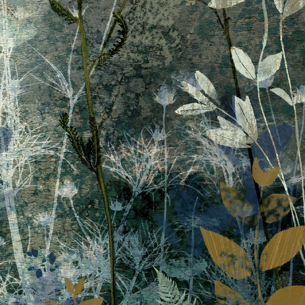 Clarity by Sabrina Roscino - Image 3