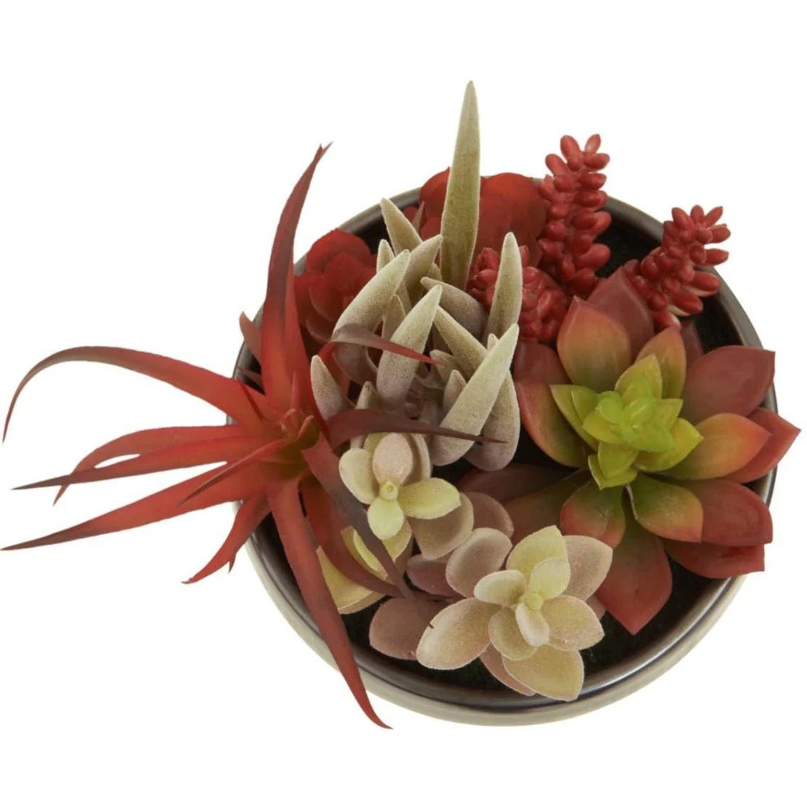 Fiori Mixed Succulents In Grey Ceramic Pot - Image 4