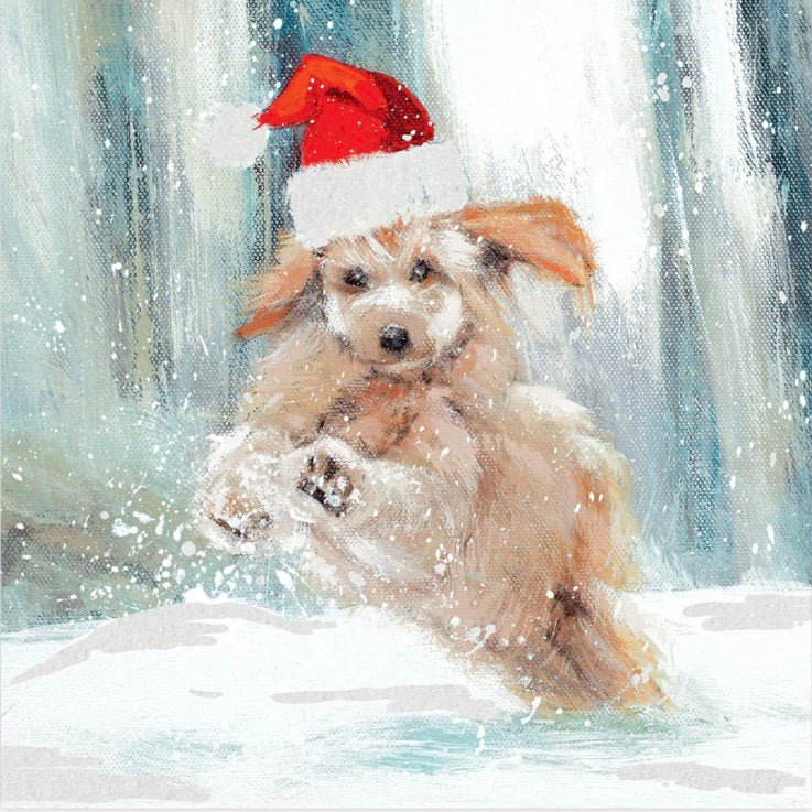 Santa Puppy Charity Christmas Cards - Pack of 6