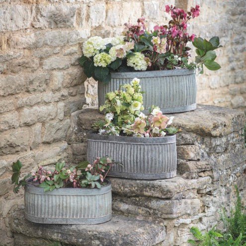 Vence Oval Trough Planters - Set of 3