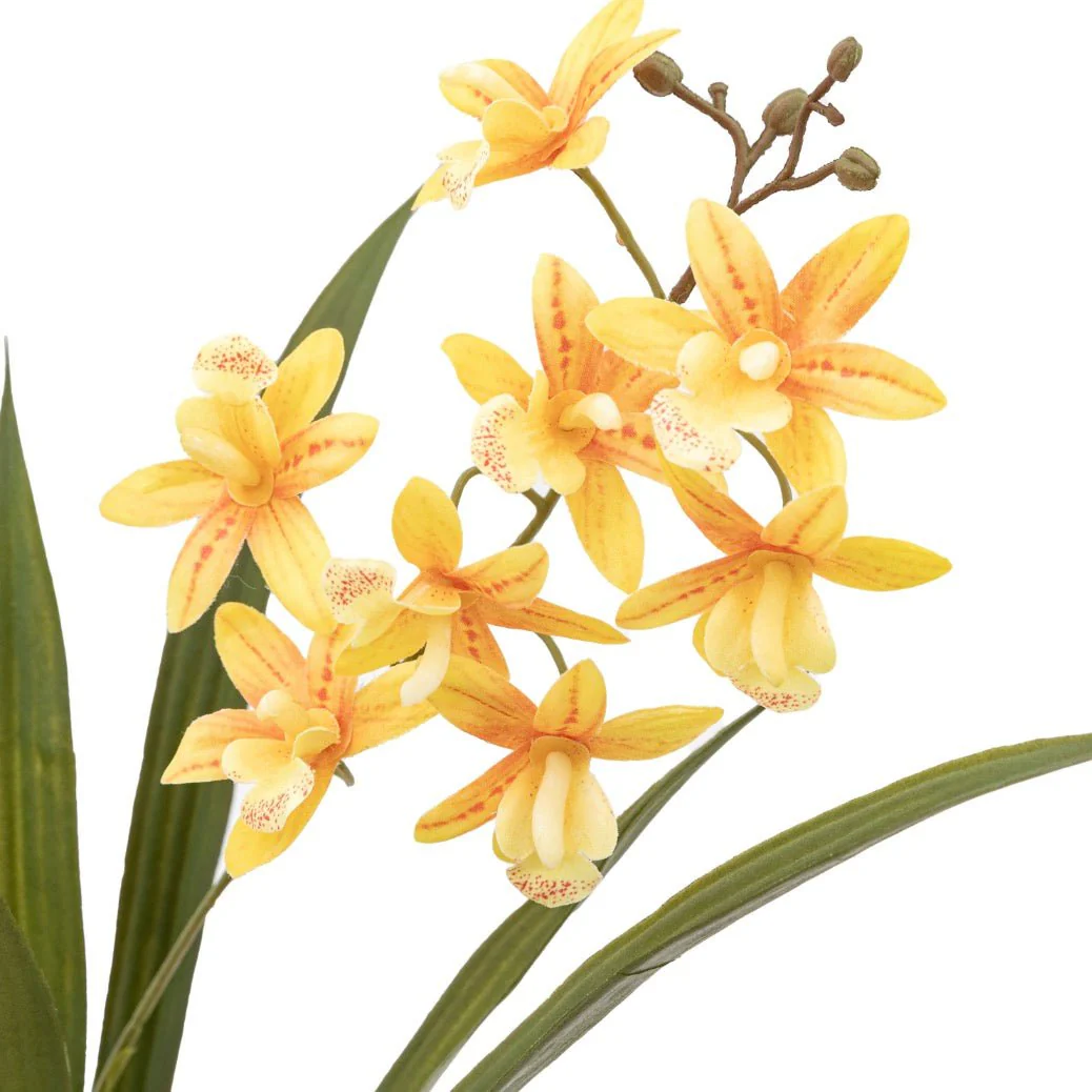 Yellow & Orange Orchid in White Ceramic Pot - Image 6